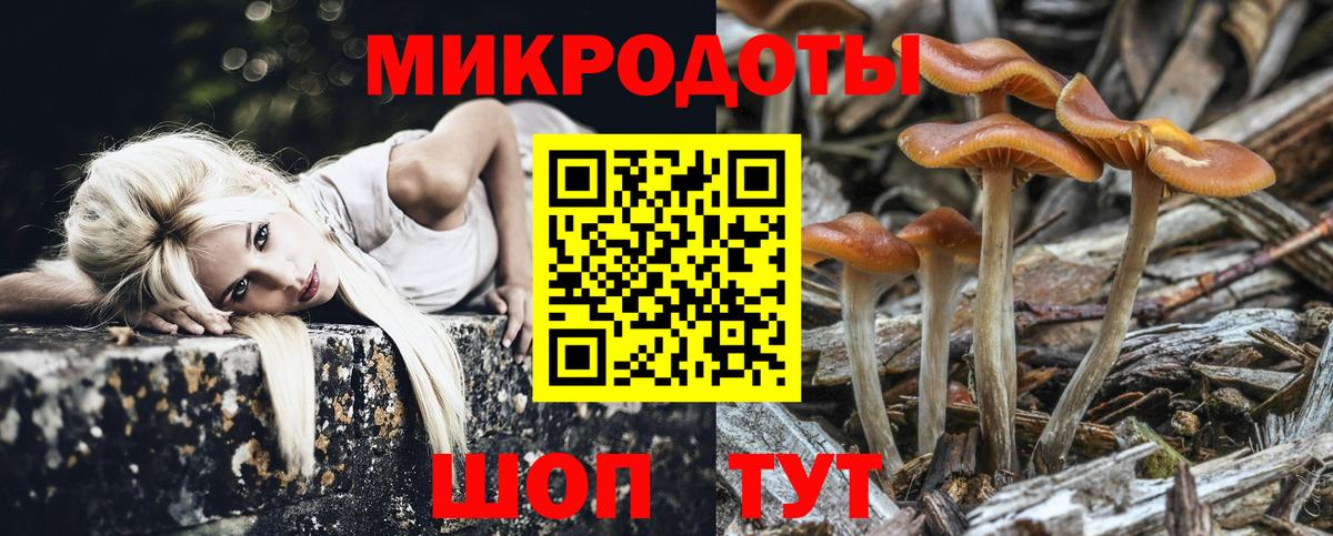 Конаково  Галлюциногенные грибы MAGIC MUSHROOMS  Вход с VPN  Псилоцибиновые грибы MAGIC MUSHROOMS 